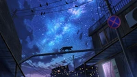 night, sky, stars, cat, scenery wallpaper