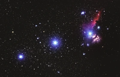 Stunning View of the Horsehead Nebula and Surrounding Stars in Outer Space