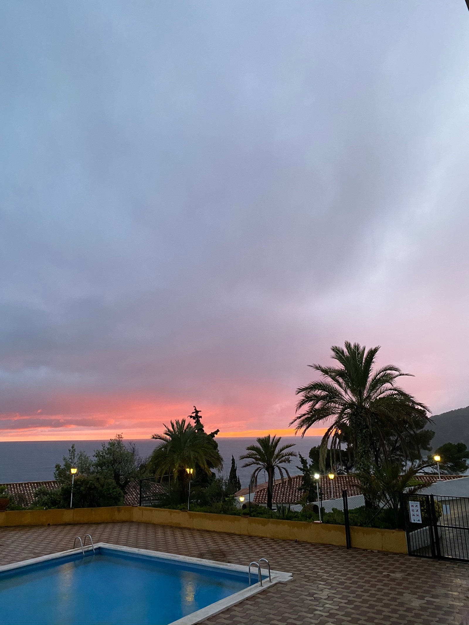 Coucher de soleil sur une piscine avec des palmiers et un ciel rose (palmiers, piscine, crépuscule, immobilier, station)