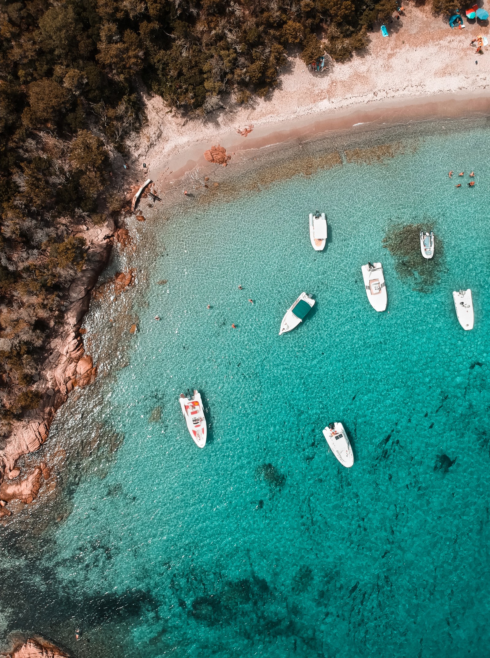 Vários barcos estão ancorados na água azul clara perto de uma praia de areia (água, mar, biologia, biologia marinha, ciência)