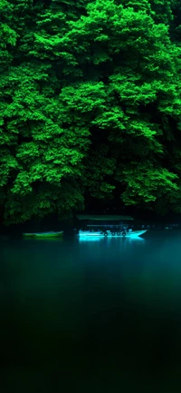 Vegetação exuberante emoldurando um lago sereno