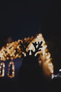 Silhouette of Reindeer Antlers Against Bokeh Night Lights