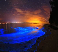 Ondas bioluminescentes ao pôr do sol em uma praia tranquila