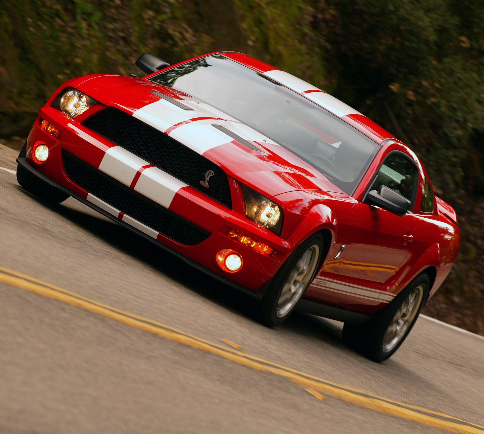 Un mustang rojo conduciendo por una carretera sinuosa con árboles al fondo (coche, ford, mustang, ajuste)