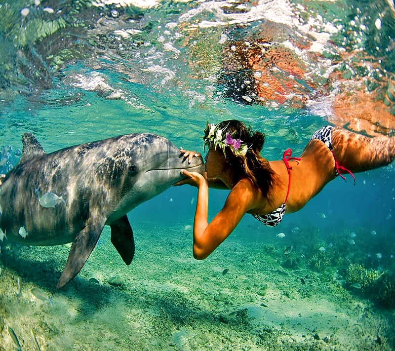 Женщина в бикини целует дельфина в воде (beautiful dolphins)