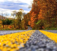 couleur, nature, route, vue