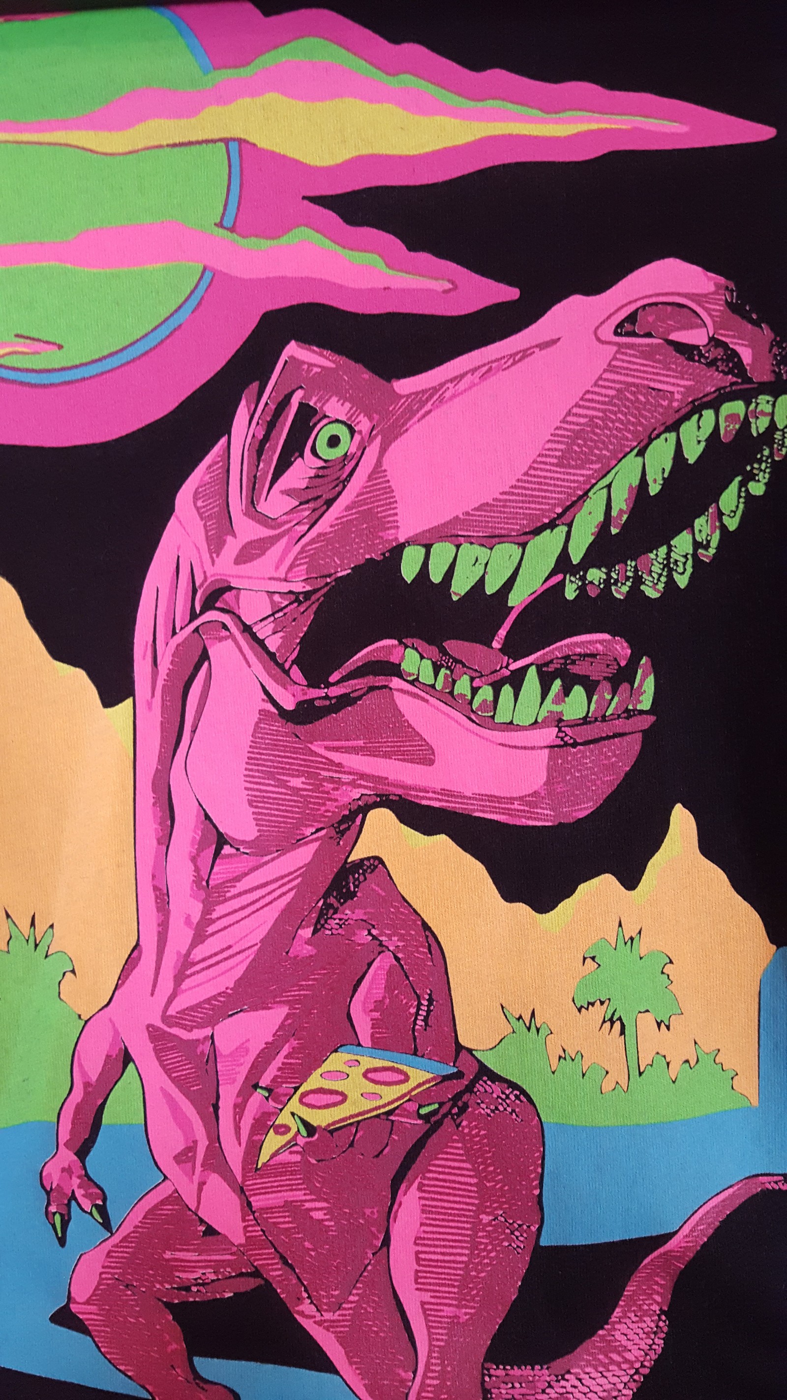 Brightly colored t - rex with a man on a skateboard in front of a sunset (dinosaur, funky, pink, pizza, psychedelic)