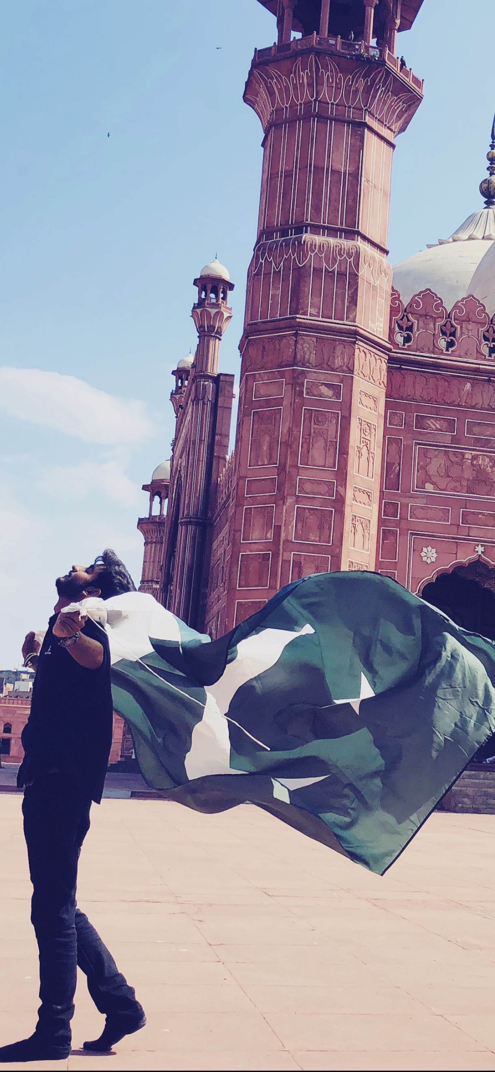 Girafa andando com uma bandeira do paquistão na frente de um prédio (14, agosto, melhor, dia, exibição)