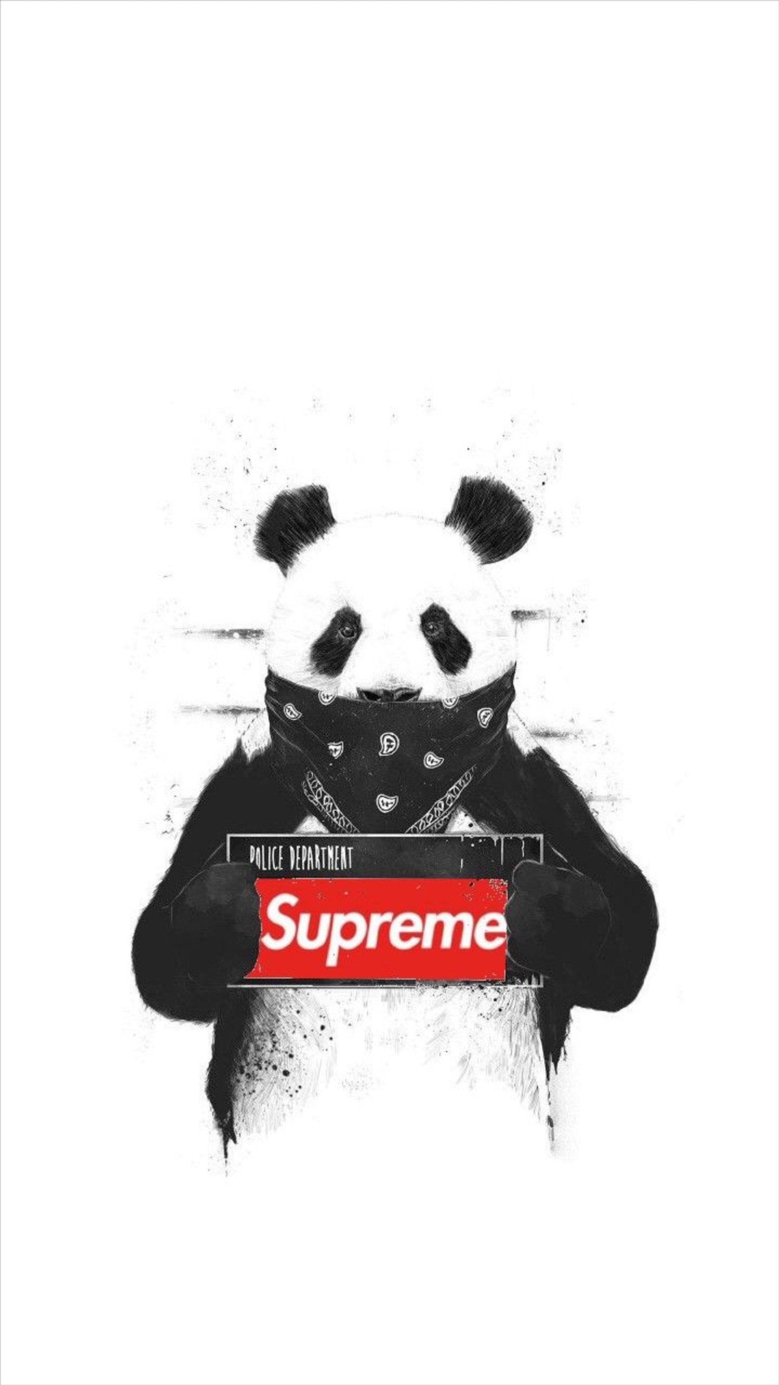 Uma foto em preto e branco de um urso panda segurando uma caixa supreme. (preto e branco, marca, logotipo, panda, supreme)