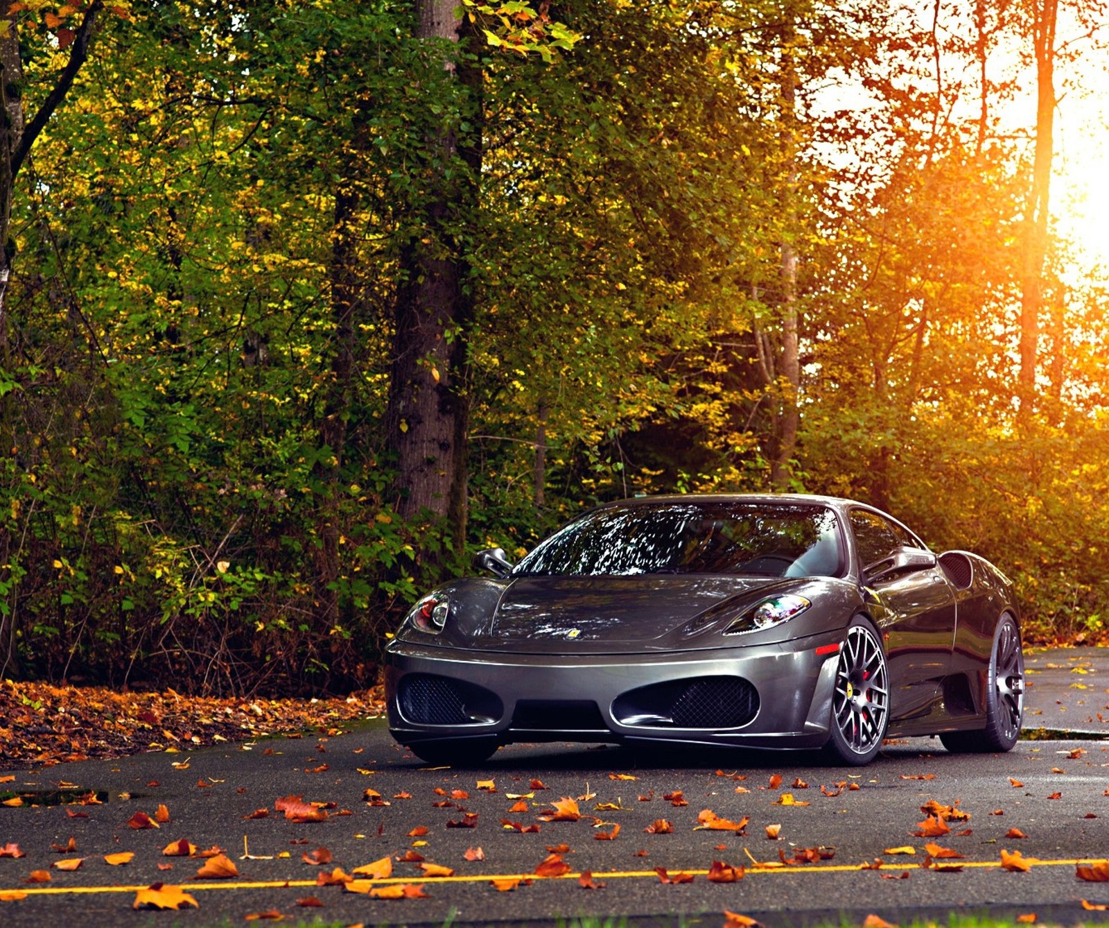 Gros plan d'une voiture garée sur une route en forêt (3d, incroyable, auto, automne, voiture)