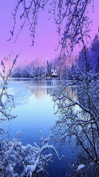 lake, snow, trees, winter