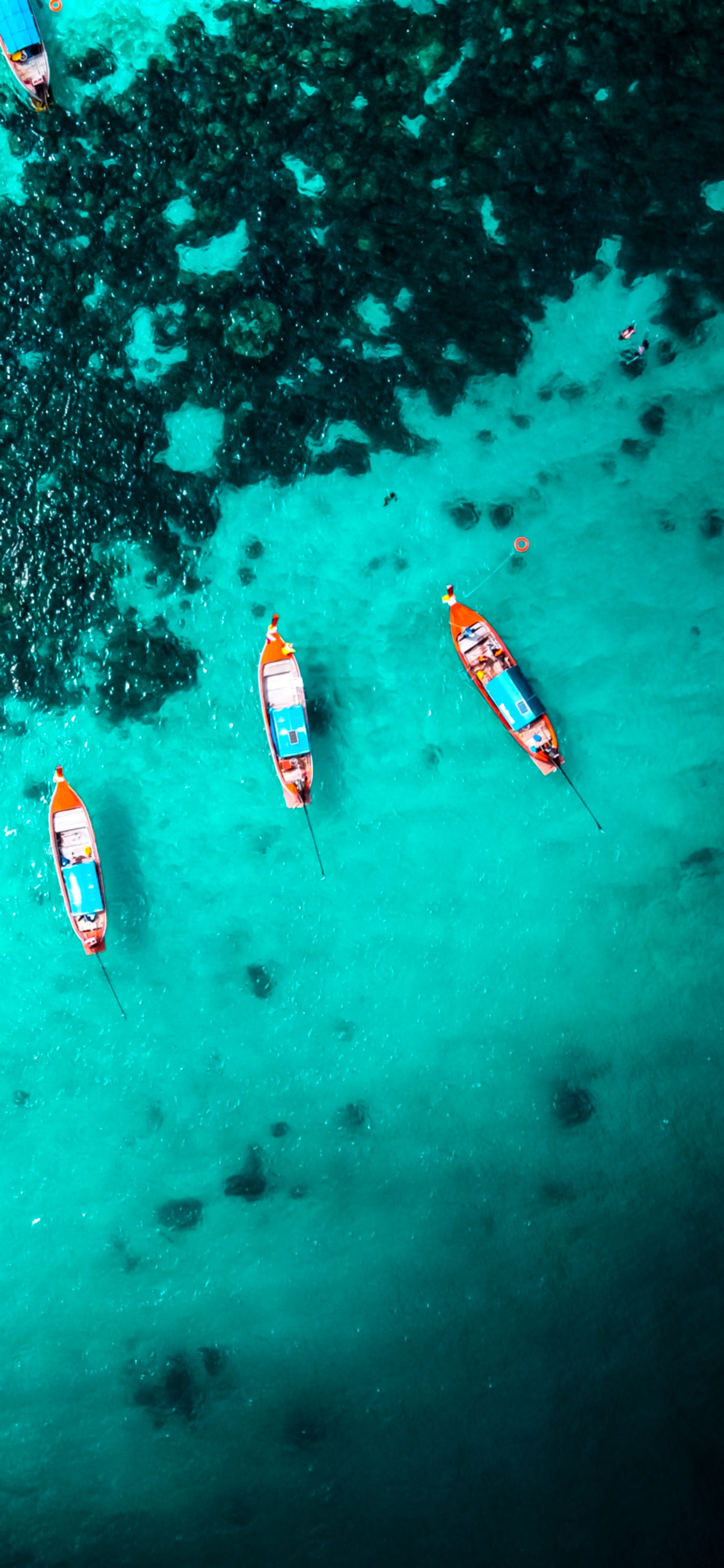 Várias embarcações estão alinhadas na água perto de uma praia (barco, turismo, viagem, água, embarcação)