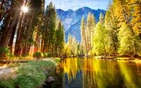 Reflexo da floresta iluminada pelo sol em uma natureza selvagem serena