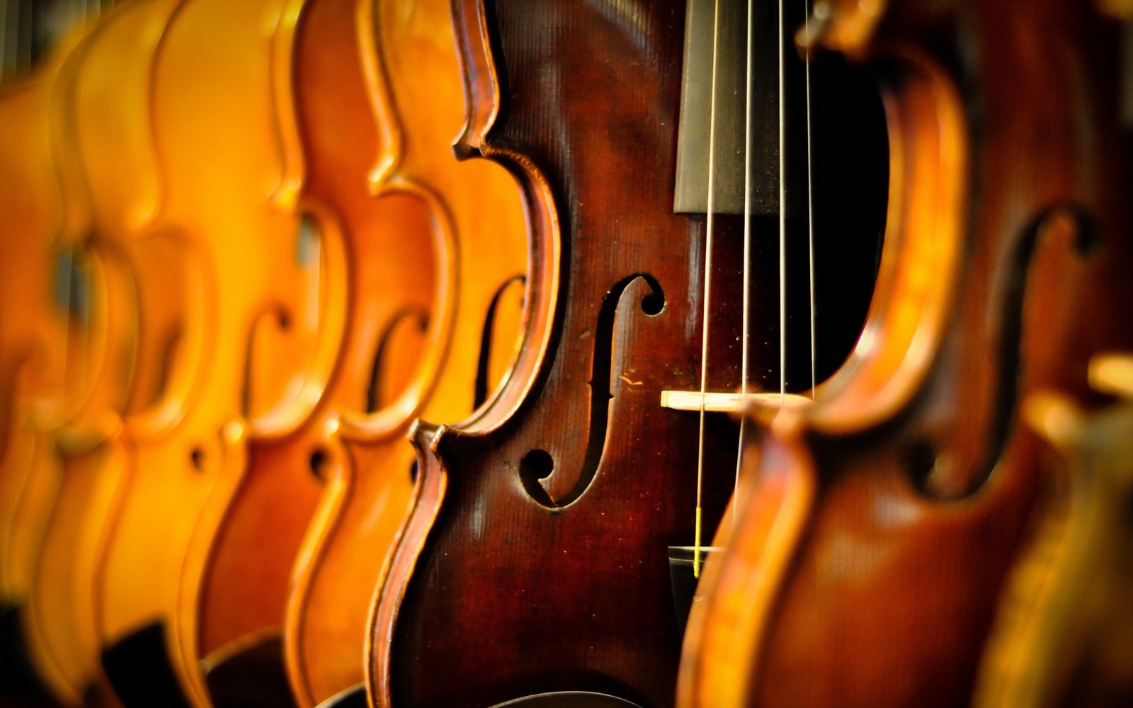 Lade kontrabass, geige, violone, viola, saiteninstrument Hintergrund herunter