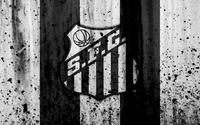 Emblema monocromático do Santos FC em parede texturizada