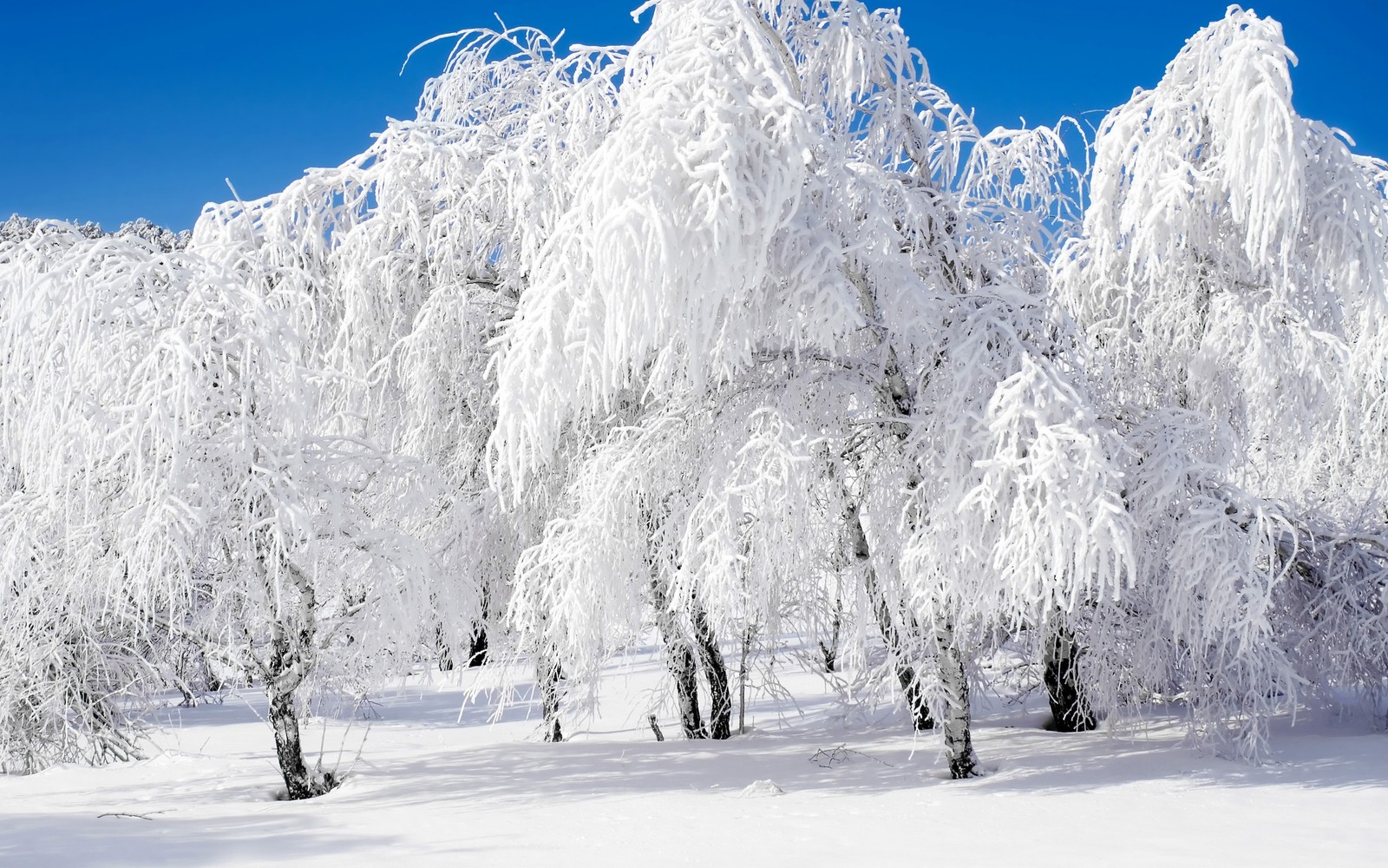 winter, snow, nature, mountainous landforms, tree wallpaper