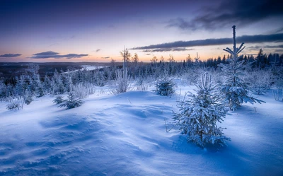 invierno, nieve, congelación, atmósfera, tundra