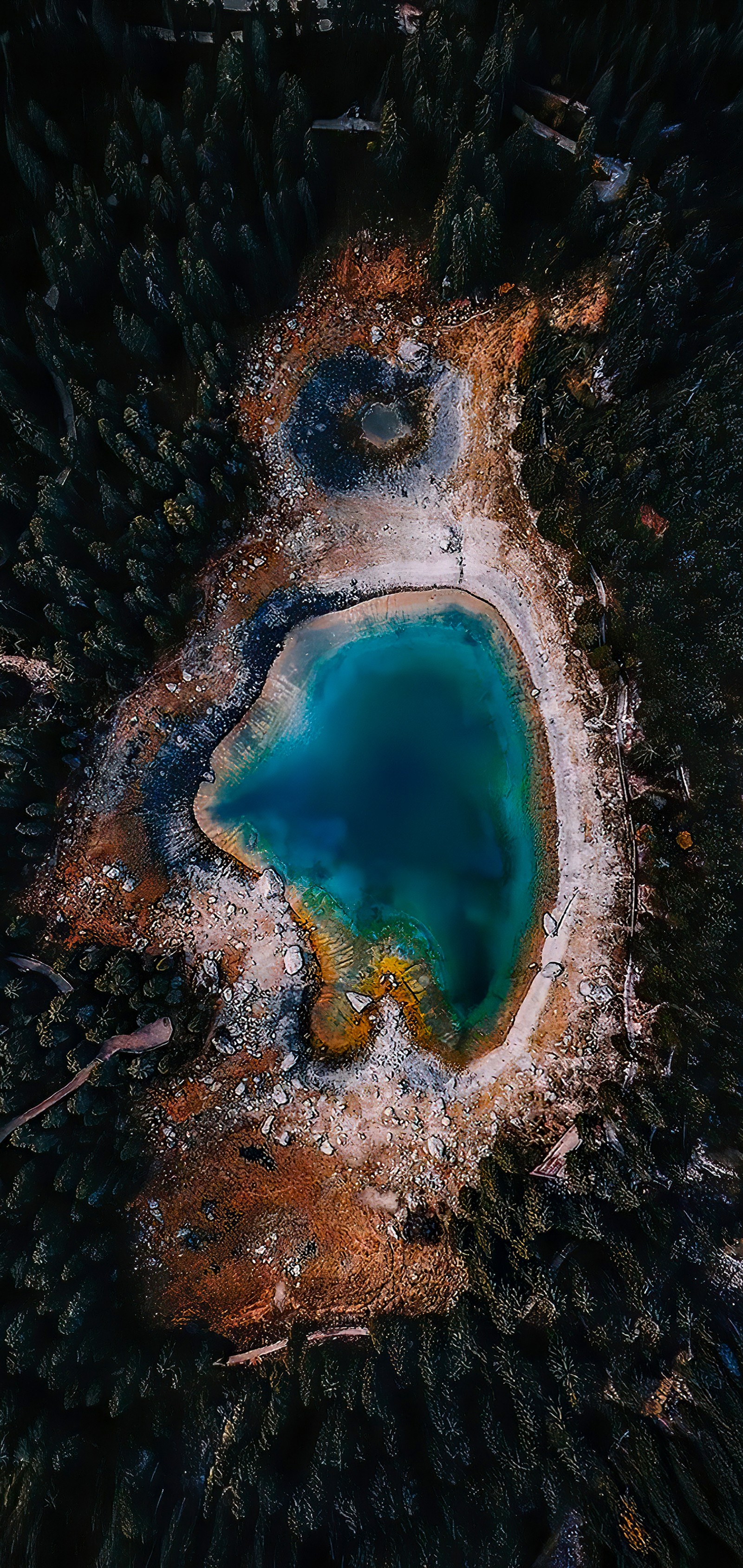 Luftaufnahme eines blauen pools, der von bäumen in einem wald umgeben ist (erde, wasser, flüssigkeit, welt, natürliche landschaft)