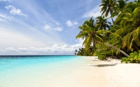 Tropical beach scene with palm trees, crystal-clear turquoise waters, and a serene sky, showcasing the beauty of the Caribbean coastline.