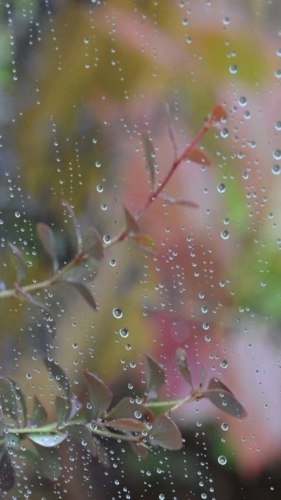 tropfen, regen