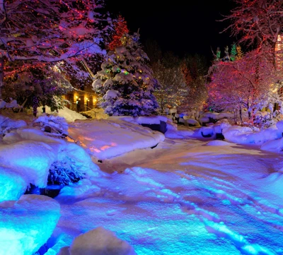 Encantador país das maravilhas de inverno: paisagem nevada iluminada à noite