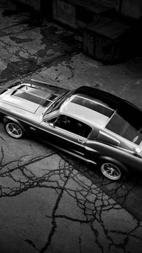 Klassischer Ford Mustang GT Shelby: Zeitlose Eleganz des Muscle Cars in Monochrom.