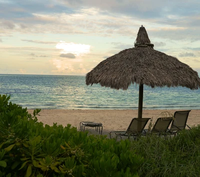 playa, paisaje, océano, arena, sol