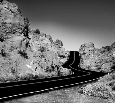 incroyable, noir, nature, route