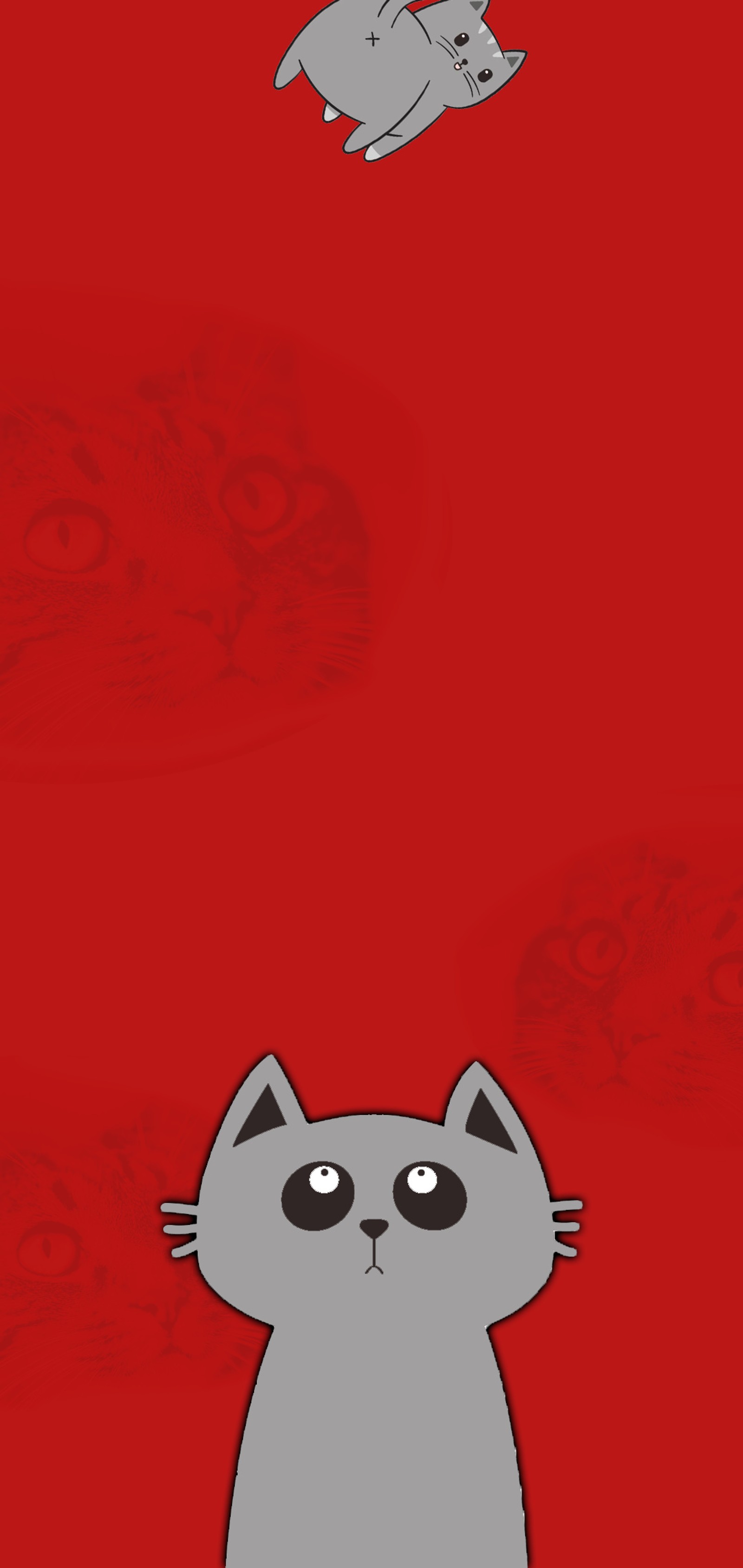 a51, cat, funny, notch, note 10 Download Wallpaper