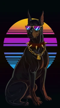 animaux, noir, doberman, chien