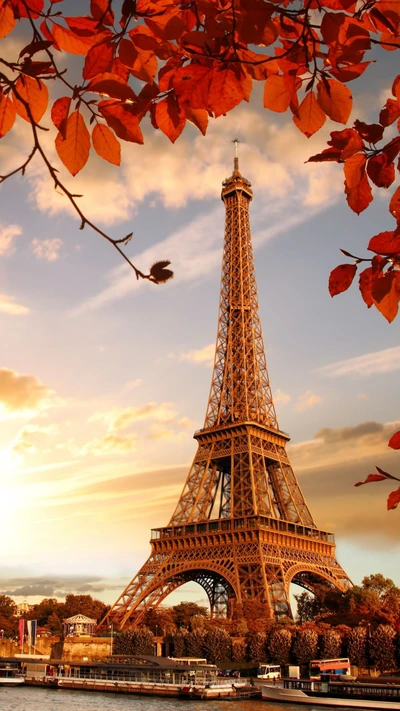 torre eiffel, frança, folhas, natureza, paris