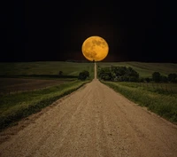 Lua dourada sobre uma estrada rural empoeirada à noite