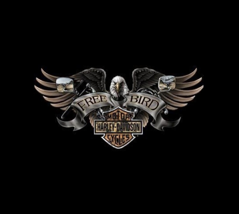 Черный фон с логотипом harley davidson и двумя орлиными крыльями (fgd, fgh)