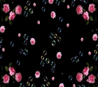 pink, roses wallpaper