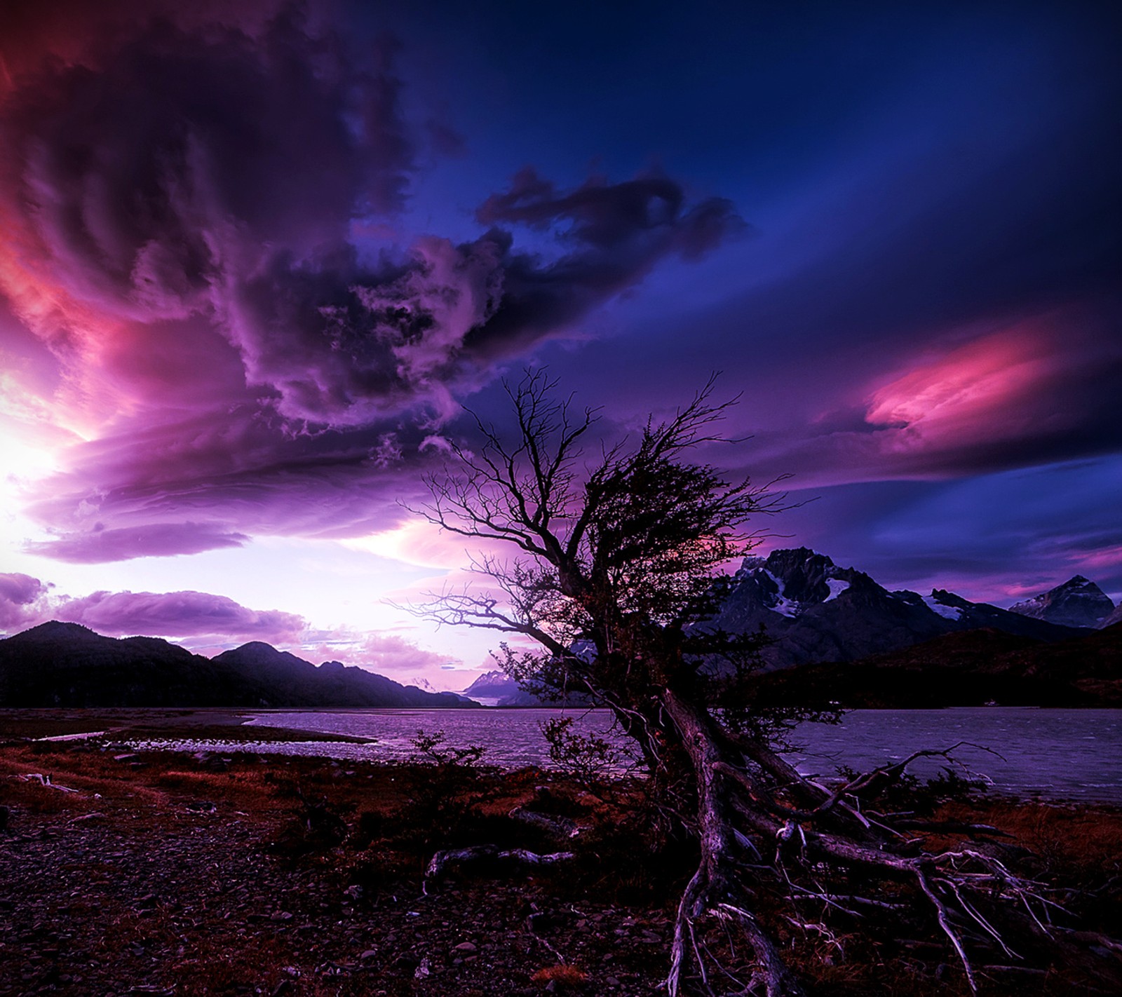 Un arbre sur la rive d'un lac avec un ciel violet (automne, nuages)