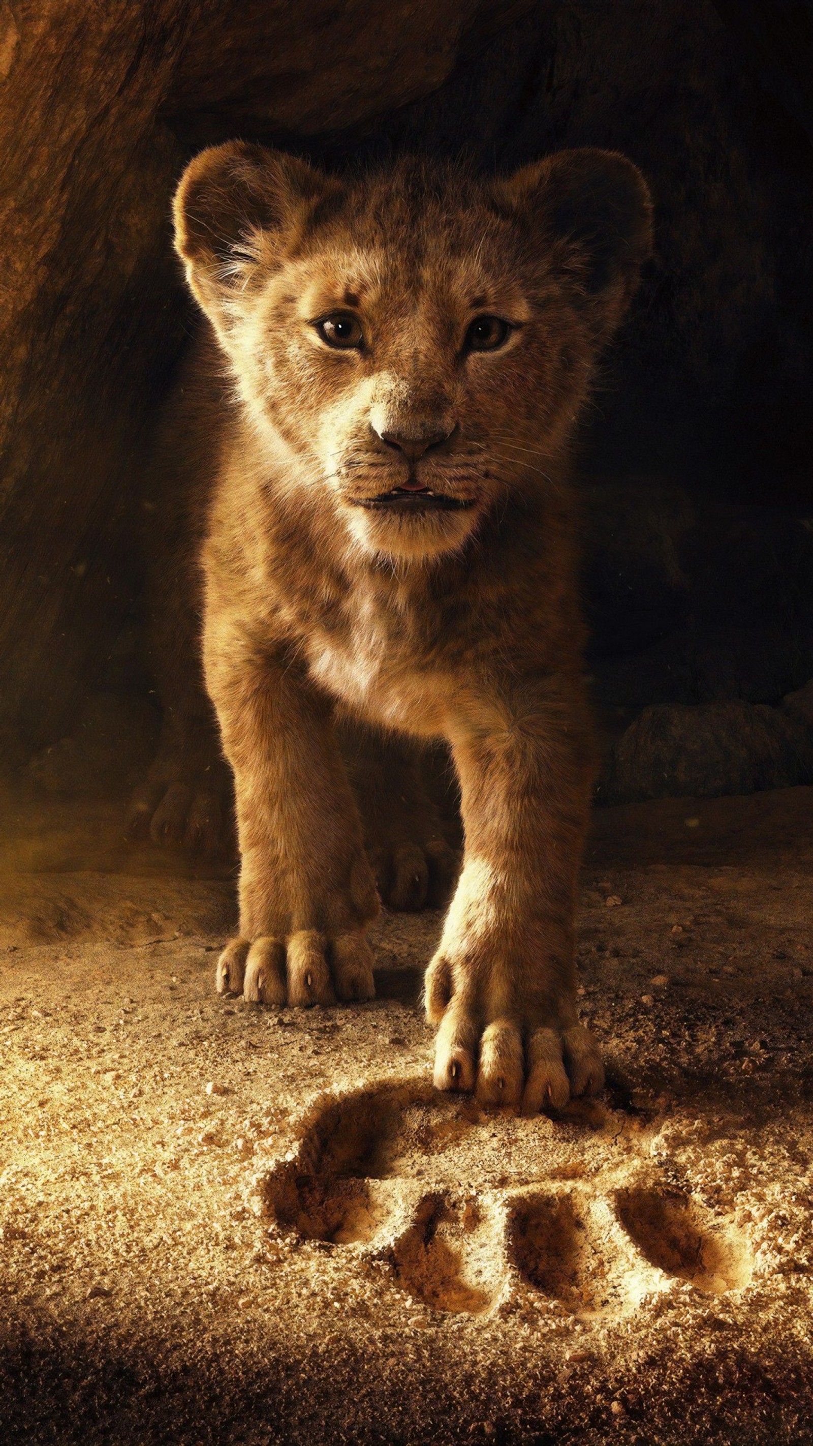 Скачать обои the lion king 2019, львы, фильм