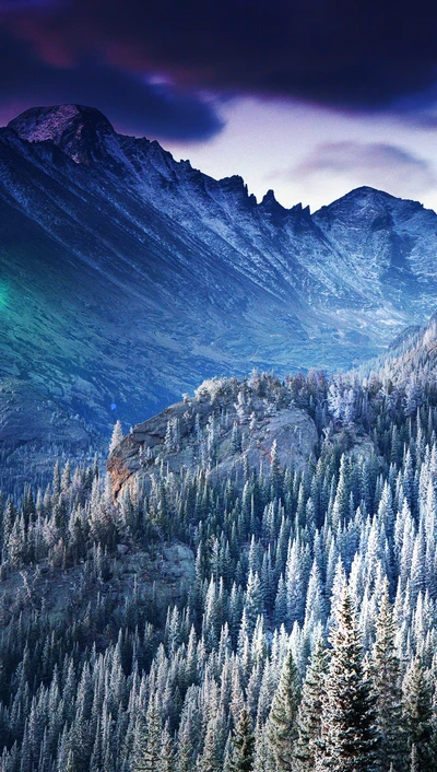 Chaîne de montagnes majestueuse entourée de conifères luxuriants