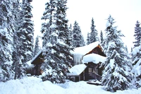 Cabana aconchegante cercada por árvores perenes cobertas de neve em uma paisagem de inverno