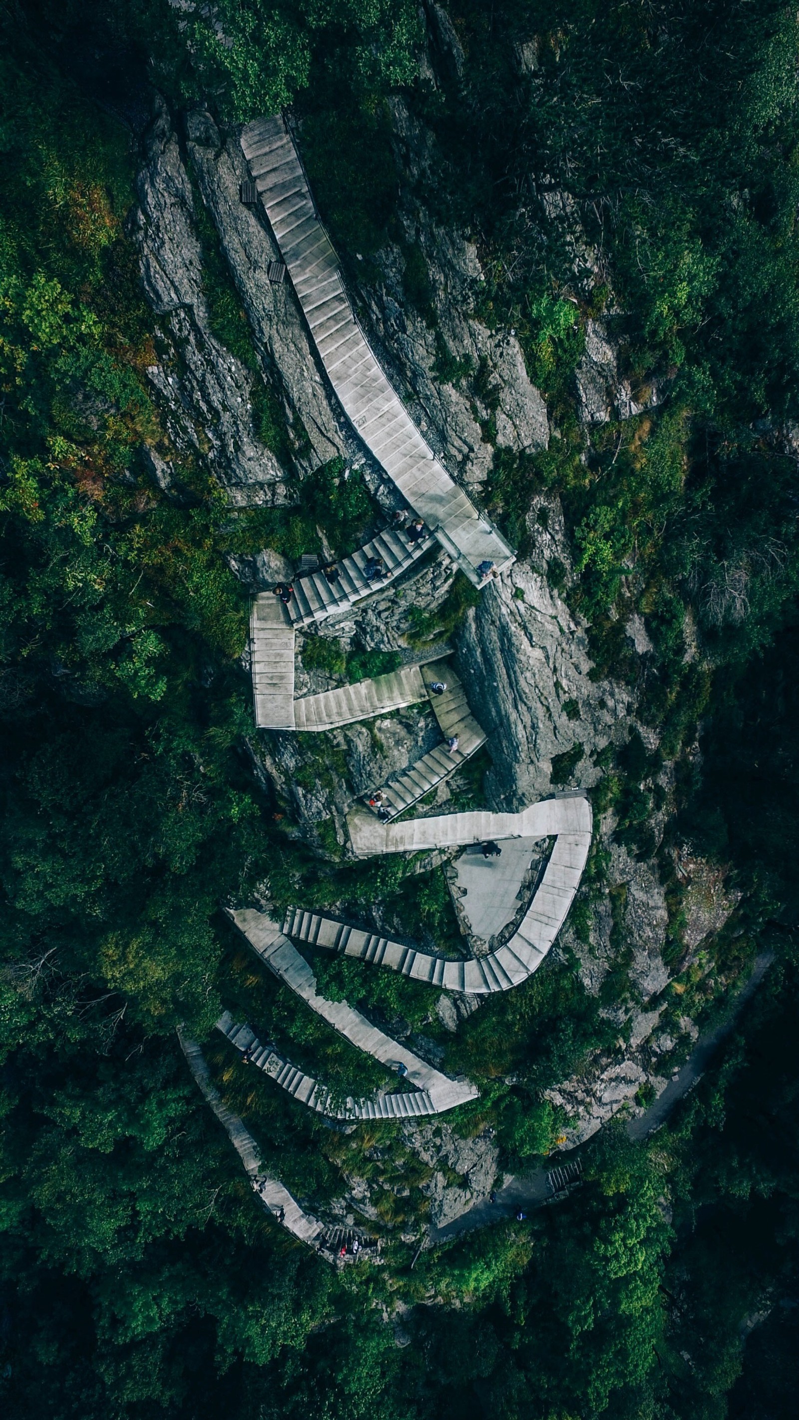 A view of a wooden walkway in the middle of a forest (motivation, human, water, water resources, natural landscape)