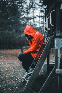 red, outerwear, headgear, tree, jacket