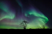 Encantadora Aurora Boreal iluminando um céu estrelado