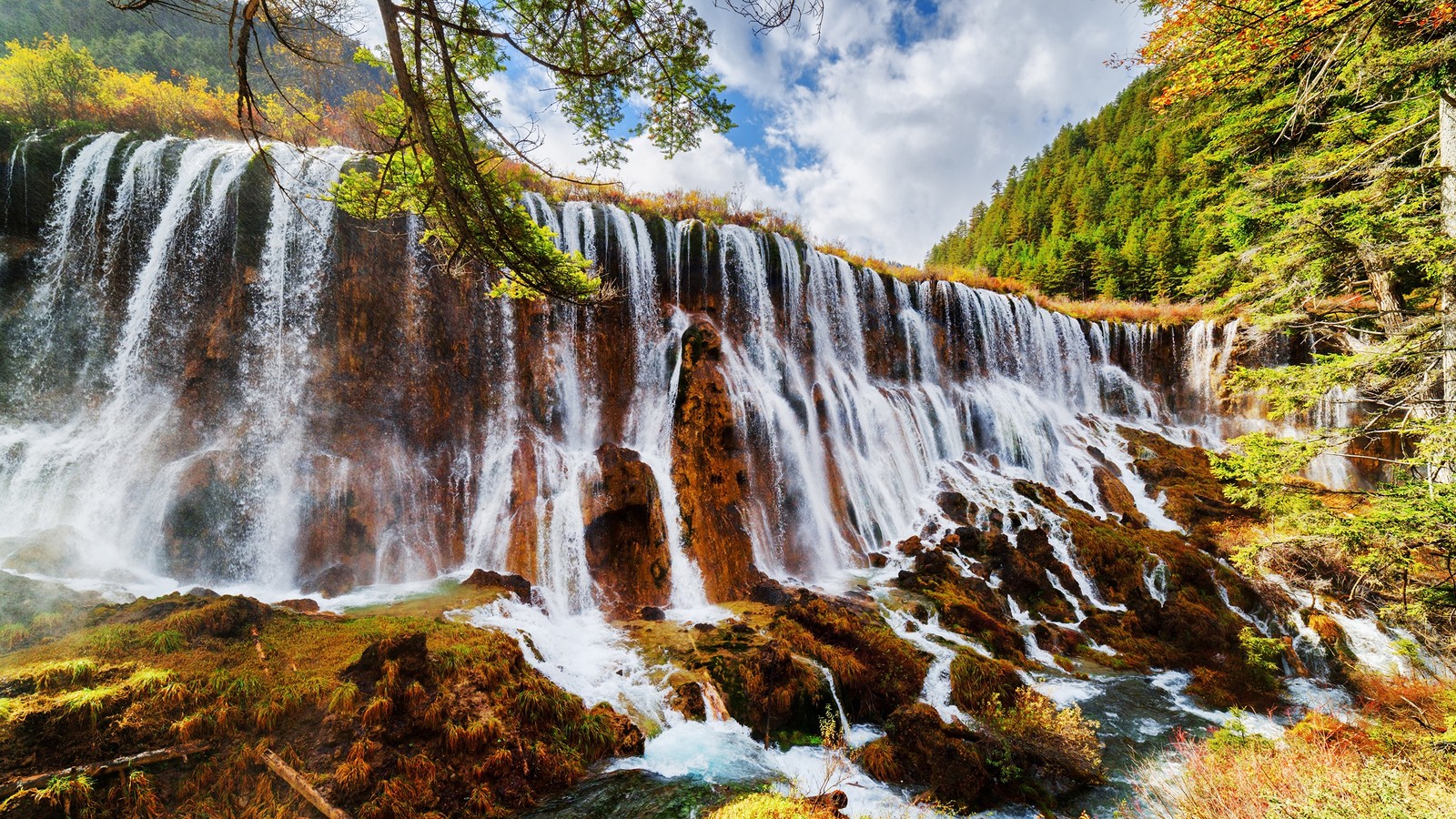 Una cascada en medio de un bosque con mucha agua (reserva natural, jiuzhaigou, cuerpo de agua, parque, cascada)