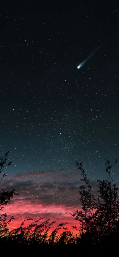 Cielo estrellado con cometa sobre árboles silueteados al anochecer