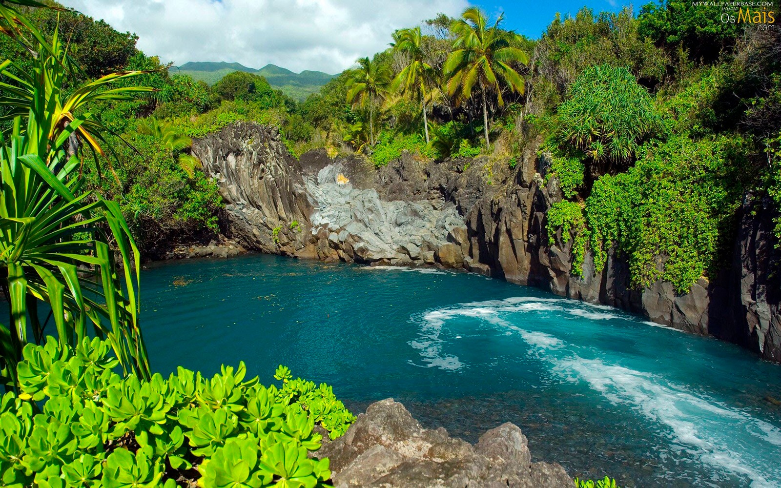 Una vista de una cascada en medio de un denso bosque verde (cuerpo de agua, recursos hídricos, naturaleza, vegetación, agua)