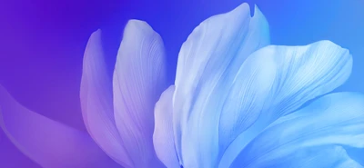 Blue Flower on Gradient Background - Aesthetic 4K Wallpaper