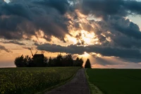 Pôr do sol dourado sobre campos serenos com árvores silhuetadas