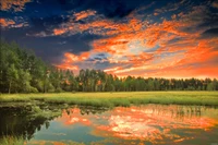 Vibrant Sunset Reflection Over Tranquil Wetland Landscape