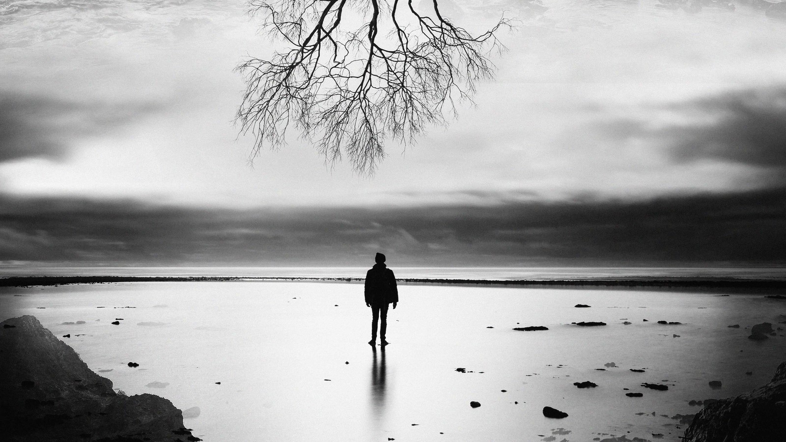 Arafed image of a person standing on a beach with a tree in the background (people in nature, white, water, black, reflection)