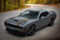 2022 Dodge Challenger GT RWD in elegantem Grau mit orangefarbenen Streifen, vor einer malerischen Waldkulisse.