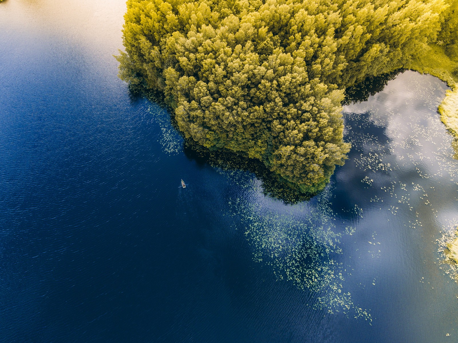 Vista aérea de um lago com um barco e árvores na água (floresta verde, árvores, visão aérea, corpo de água, vista aérea)